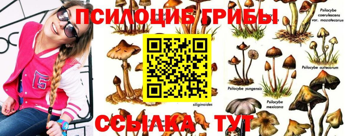 Псилоцибиновые грибы Psilocybe  Вход с VPN  Набережные Челны 